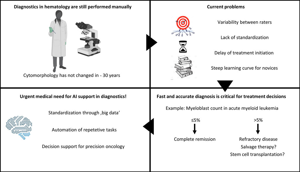 Diagram Diagram artificial intelligence in hematology